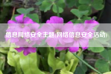 信息网络安全主题(网络信息安全活动)