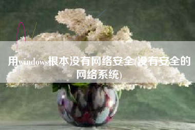 用windows根本没有网络安全(没有安全的网络系统)