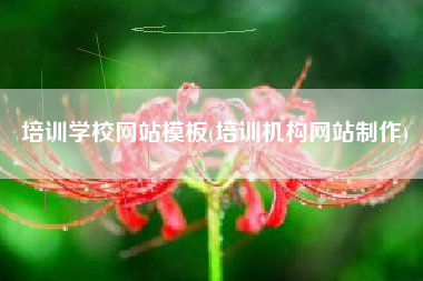培训学校网站模板(培训机构网站制作)