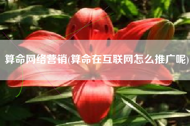 算命网络营销(算命在互联网怎么推广呢)