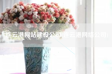 连云港网站建设公司(连云港网络公司)