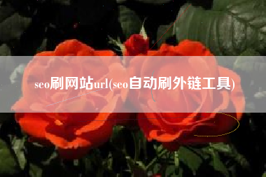 seo刷网站url(seo自动刷外链工具)
