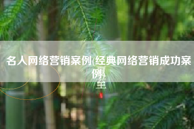 名人网络营销案例(经典网络营销成功案例)