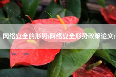 网络安全的形势(网络安全形势政策论文)