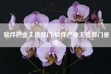 软件产业主管部门(软件产业主管部门是谁)
