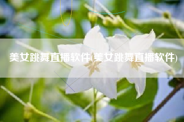美女跳舞直播软件(美女跳舞直播软件)