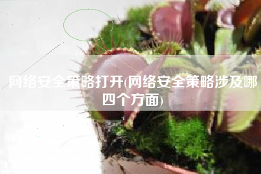 网络安全策略打开(网络安全策略涉及哪四个方面)