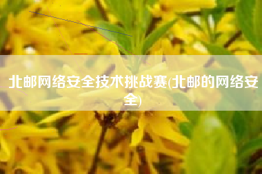 北邮网络安全技术挑战赛(北邮的网络安全)