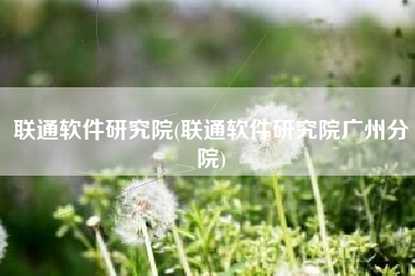 联通软件研究院(联通软件研究院广州分院)