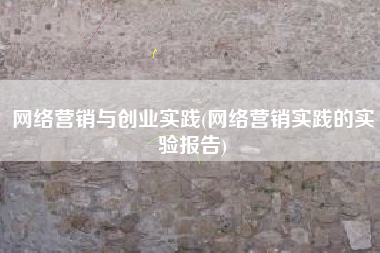 网络营销与创业实践(网络营销实践的实验报告)