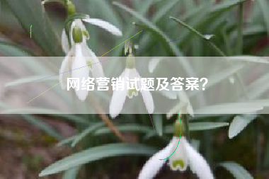 网络营销试题及答案？