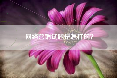 网络营销试题是怎样的？