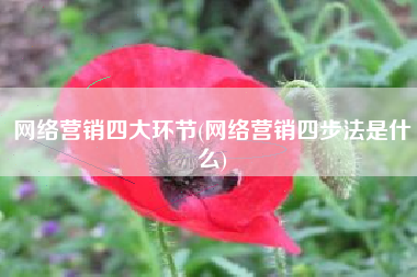 网络营销四大环节(网络营销四步法是什么)