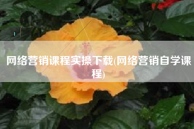 网络营销课程实操下载(网络营销自学课程)
