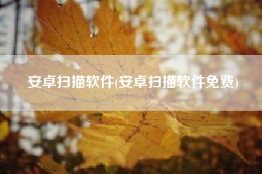 安卓扫描软件(安卓扫描软件免费)