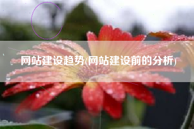 网站建设趋势(网站建设前的分析)