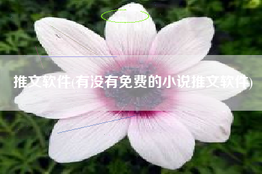 推文软件(有没有免费的小说推文软件)