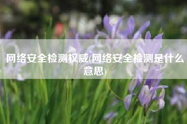 网络安全检测权威(网络安全检测是什么意思)