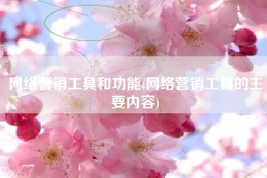 网络营销工具和功能(网络营销工具的主要内容)