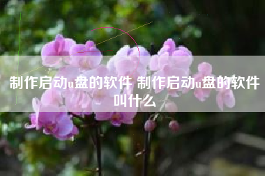 制作启动u盘的软件 制作启动u盘的软件叫什么