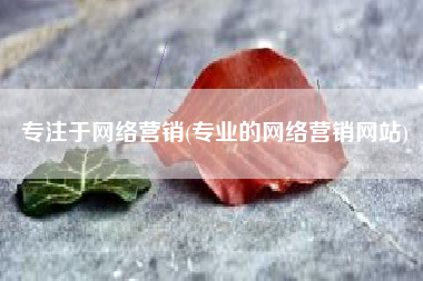 专注于网络营销(专业的网络营销网站)