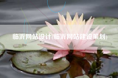 临沂网站设计(临沂网站建设策划)