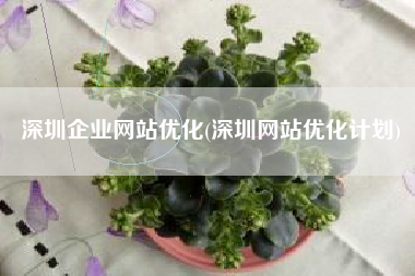 深圳企业网站优化(深圳网站优化计划)