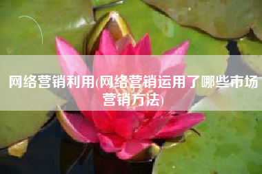 网络营销利用(网络营销运用了哪些市场营销方法)