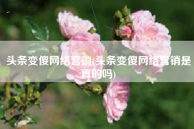 头条变傻网络营销(头条变傻网络营销是真的吗)