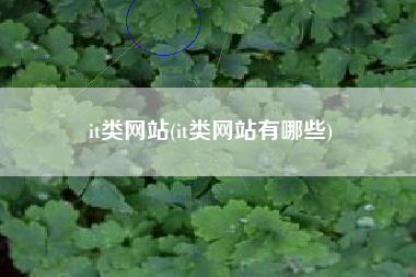 it类网站(it类网站有哪些)
