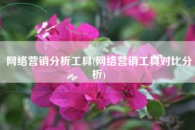 网络营销分析工具(网络营销工具对比分析)