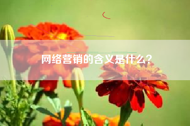 网络营销的含义是什么？