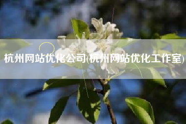 杭州网站优化公司(杭州网站优化工作室)