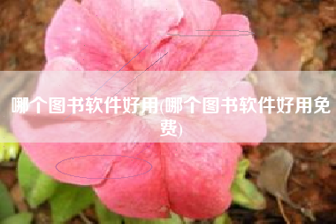 哪个图书软件好用(哪个图书软件好用免费)