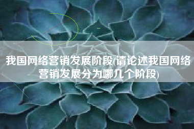 我国网络营销发展阶段(请论述我国网络营销发展分为哪几个阶段)
