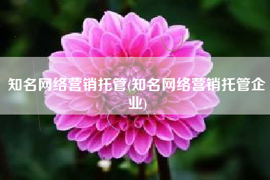 知名网络营销托管(知名网络营销托管企业)