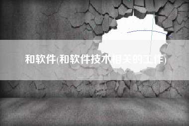 和软件(和软件技术相关的工作)