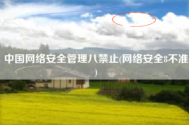 中国网络安全管理八禁止(网络安全8不准)