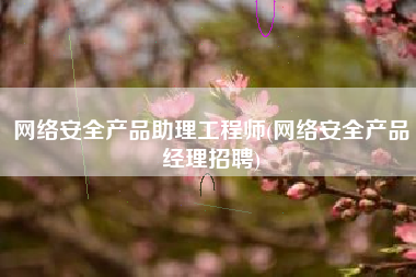 网络安全产品助理工程师(网络安全产品经理招聘)