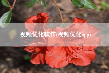 视频优化软件(视频优化app)