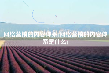 网络营销的内容体系(网络营销的内容体系是什么)