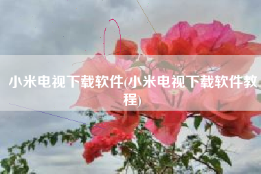 小米电视下载软件(小米电视下载软件教程)