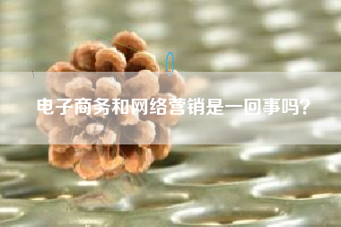 电子商务和网络营销是一回事吗？