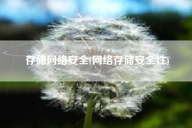 存储网络安全(网络存储安全性)