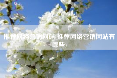 推荐网络营销网站(推荐网络营销网站有哪些)
