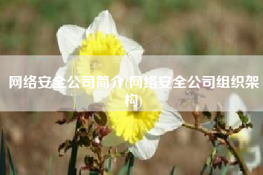 网络安全公司简介(网络安全公司组织架构)