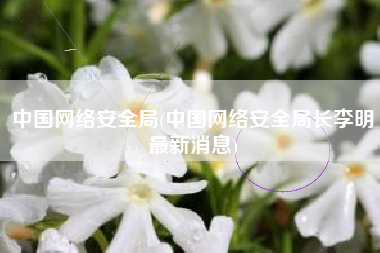 中国网络安全局(中国网络安全局长李明最新消息)