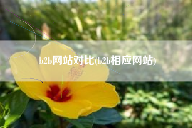 b2b网站对比(b2b相应网站)