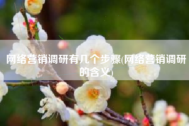 网络营销调研有几个步骤(网络营销调研的含义)