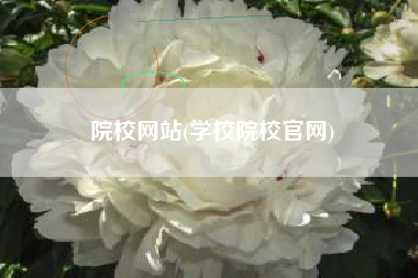 院校网站(学校院校官网)